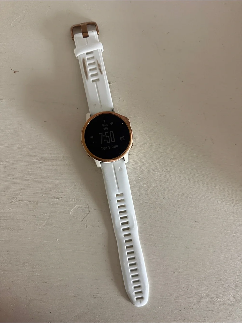 Garmin Fenix 6S Pro